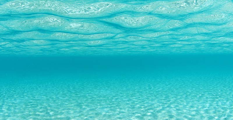 中至生物：大道至簡·品牌百萬級LOGO升級引爆品牌氣質(zhì)！