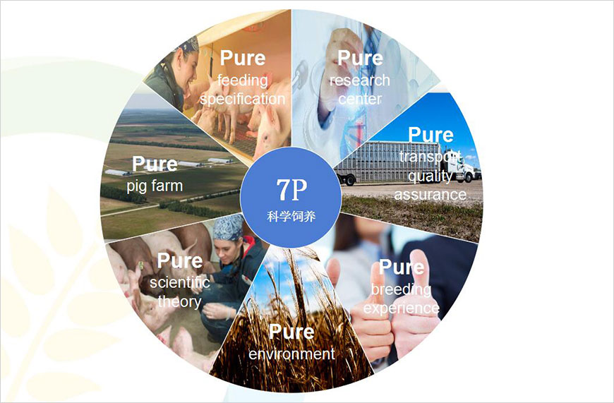 7p-科學(xué)飼養(yǎng)