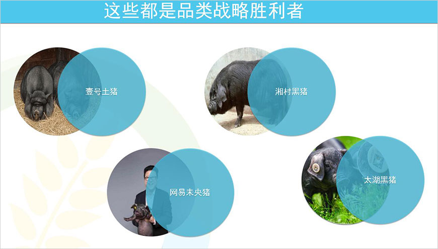 競(jìng)爭(zhēng)品牌的品類制勝策略